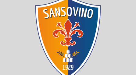 Focus: Olimpic Sansovino